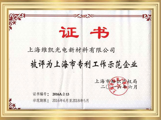 上海市专利示范企业
